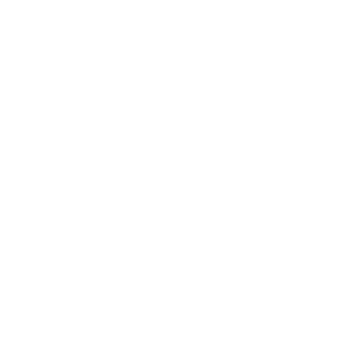 icon expert white